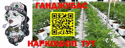 эйфоретик Аргун