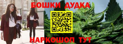 прущие грибы Апшеронск