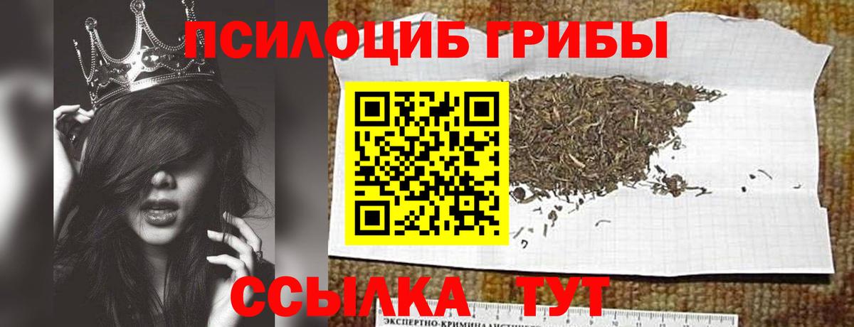 Галлюциногенные грибы GOLDEN TEACHER  Вход с VPN  магазин продажи наркотиков  Вязники  Галлюциногенные грибы мухоморы 